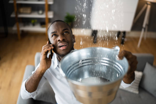 Best Commercial water damage restoration  in Ogden, IA