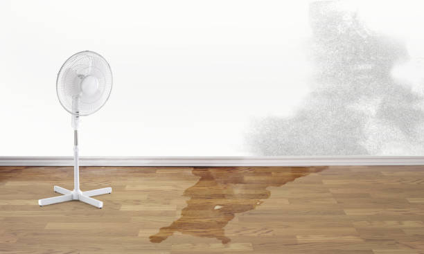 Best Flooded house restoration  in Ogden, IA