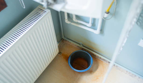 Best Flood damage cleanup  in Ogden, IA